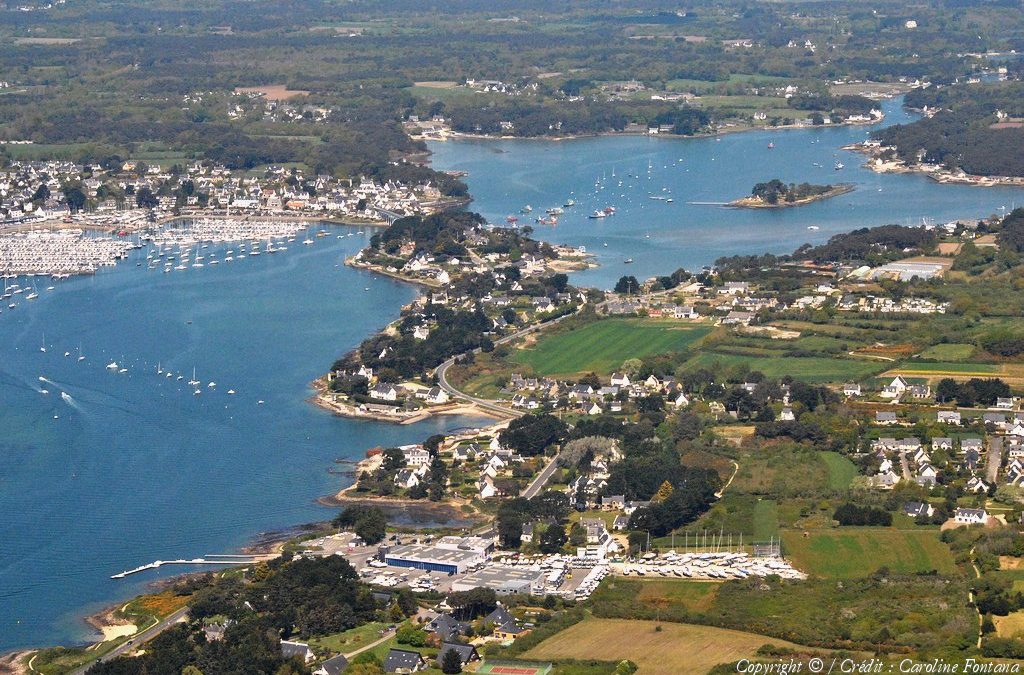 Retrouvez nos vins chez le maraîcher « Alain Le Chapelain » à Saint-Philibert (56).